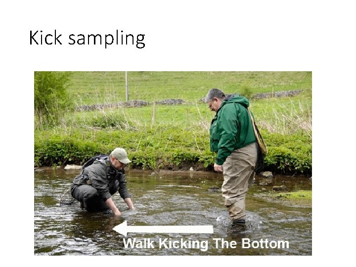 Kick sampling 