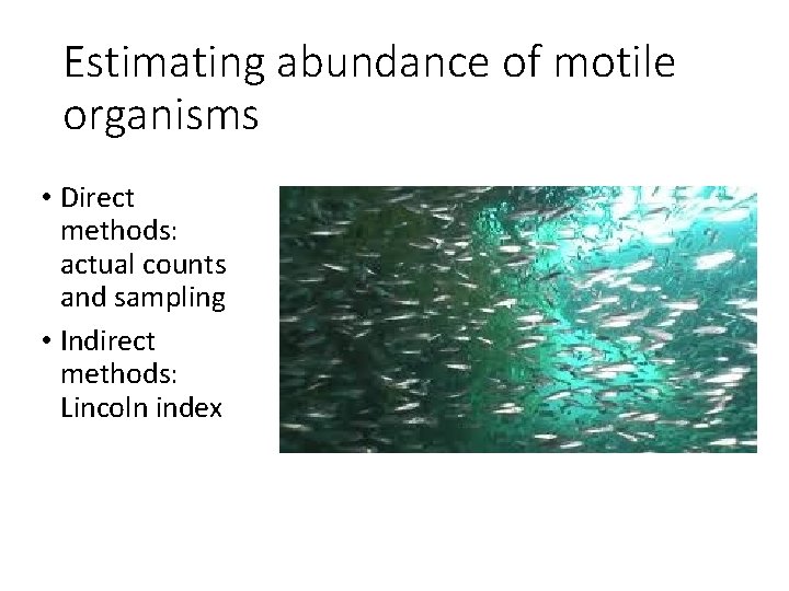 Estimating abundance of motile organisms • Direct methods: actual counts and sampling • Indirect