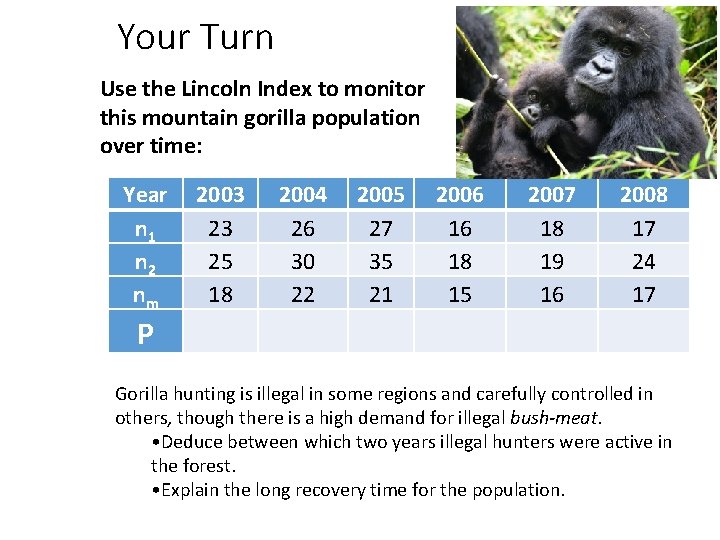 Your Turn Use the Lincoln Index to monitor this mountain gorilla population over time: