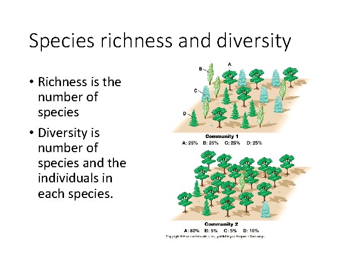 Species richness and diversity • Richness is the number of species • Diversity is