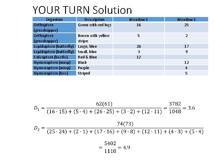 YOUR TURN Solution Organism Orthoptera (grasshopper) Lepidoptera (butterfly) Coleoptera (beetle) Hymenoptera (wasp) Hymenoptera (bee)