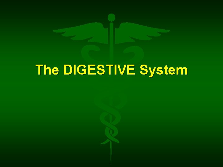 The DIGESTIVE System 