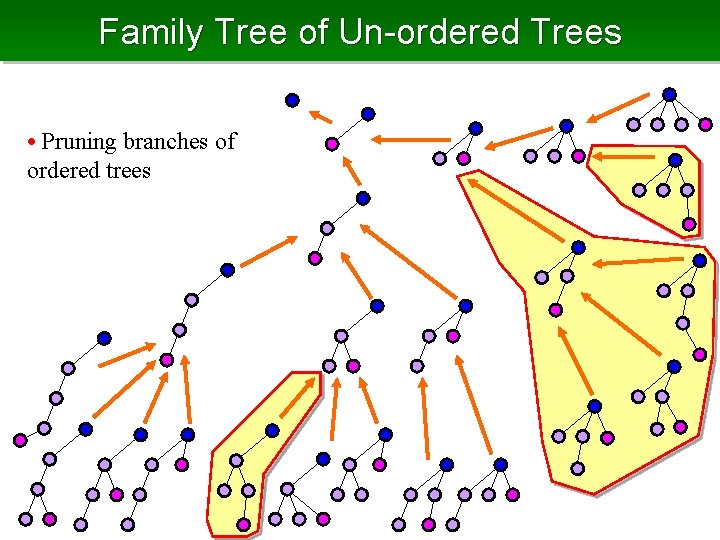 Family Tree of Un-ordered Trees • Pruning branches of ordered trees 