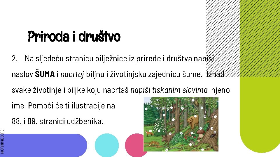 Priroda i društvo 2. Na sljedeću stranicu bilježnice iz prirode i društva napiši naslov