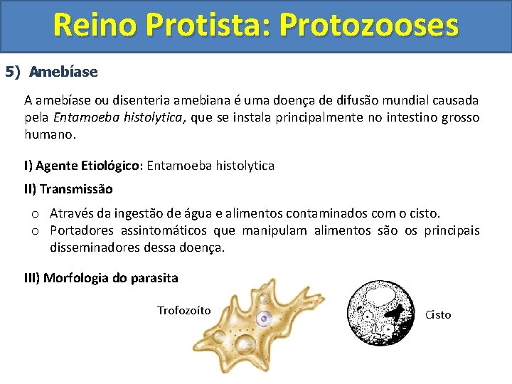 Reino Protista: Protozooses 5) Amebíase A amebíase ou disenteria amebiana é uma doença de