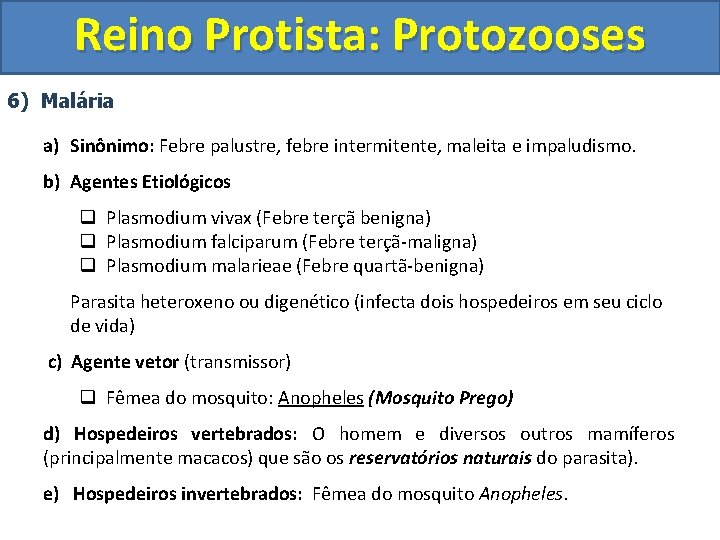 Reino Protista: Protozooses 6) Malária a) Sinônimo: Febre palustre, febre intermitente, maleita e impaludismo.