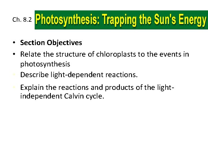 Ch. 8. 2 • Section Objectives • Relate the structure of chloroplasts to the