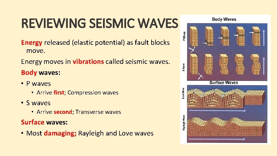 REVIEWING SEISMIC WAVES Energy released (elastic potential) as fault blocks move. Energy moves in REVIEWING SEISMIC WAVES Energy released (elastic potential) as fault blocks move. Energy moves in