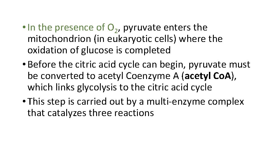  • In the presence of O 2, pyruvate enters the mitochondrion (in eukaryotic