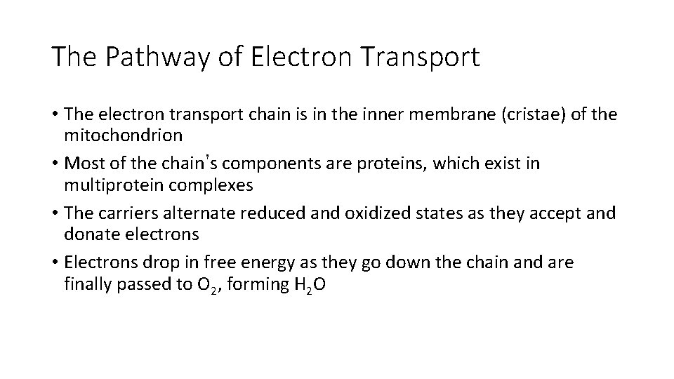 The Pathway of Electron Transport • The electron transport chain is in the inner