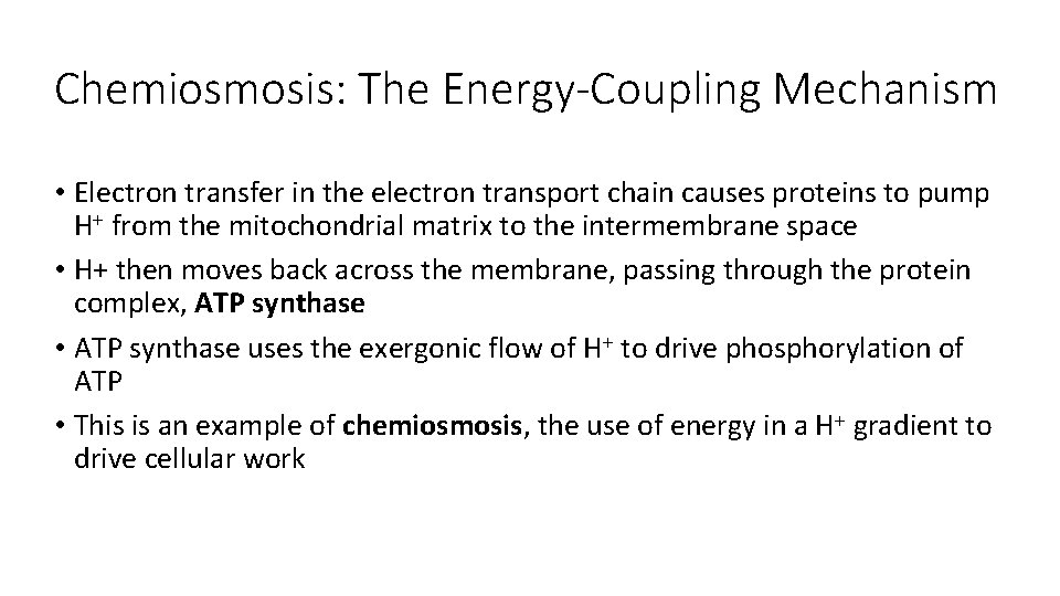 Chemiosmosis: The Energy-Coupling Mechanism • Electron transfer in the electron transport chain causes proteins