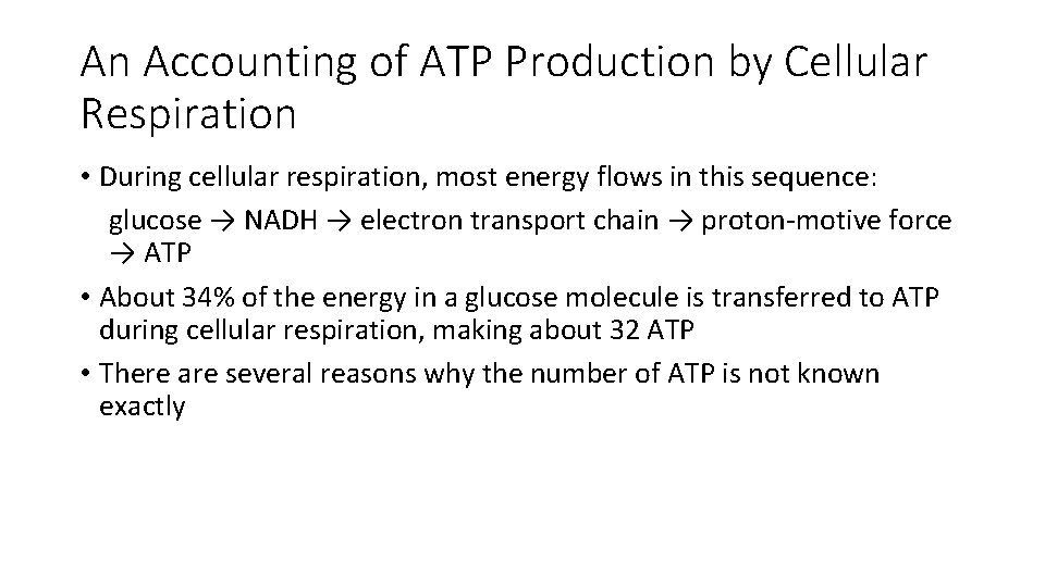 An Accounting of ATP Production by Cellular Respiration • During cellular respiration, most energy