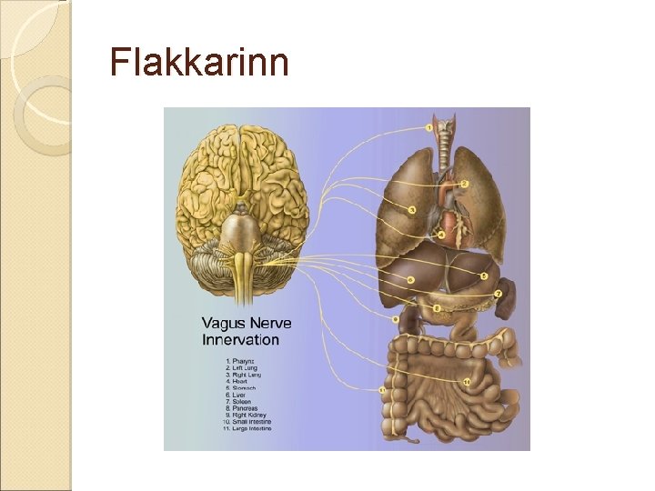 Flakkarinn Flakkarinn