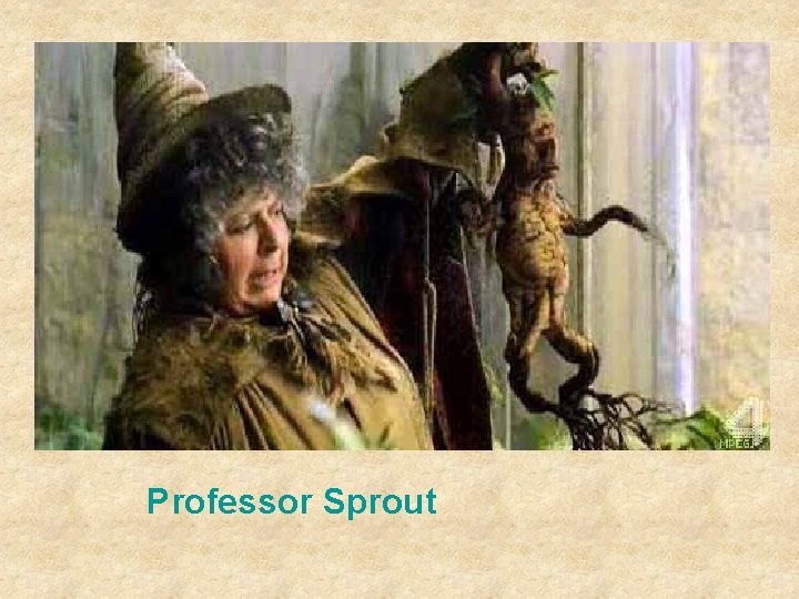 Professor Sprout 