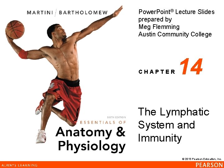 Power. Point® Lecture Slides prepared by Meg Flemming Austin Community College CHAPTER 14 The