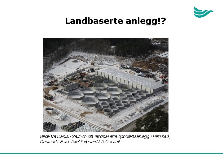 Landbaserte anlegg!? Bilde fra Danish Salmon sitt landbaserte oppdrettsanlegg i Hirtshals, Danmark. Foto: Axel