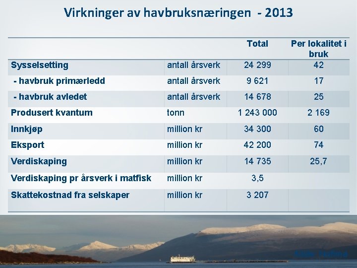 Virkninger av havbruksnæringen - 2013 Total Sysselsetting antall årsverk 24 299 Per lokalitet i