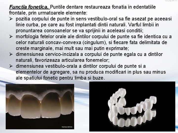 Functia fonetica. Puntile dentare restaureaza fonatia in edentatiile frontale, prin urmatoarele elemente: Ø pozitia