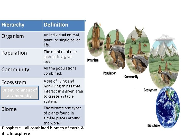 Or environment of a community Biosphere—all combined biomes of earth & its atmosphere 