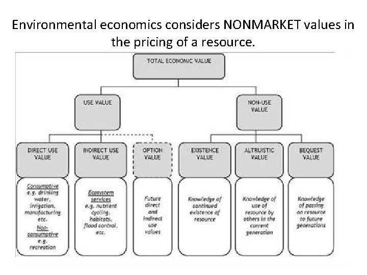 Environmental economics considers NONMARKET values in the pricing of a resource. 