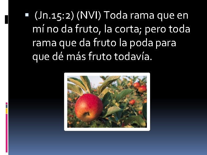  (Jn. 15: 2) (NVI) Toda rama que en mí no da fruto, la