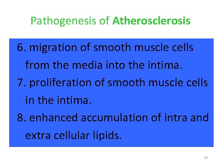 Pathogenesis of Atherosclerosis 6. migration of smooth muscle cells from the media into the