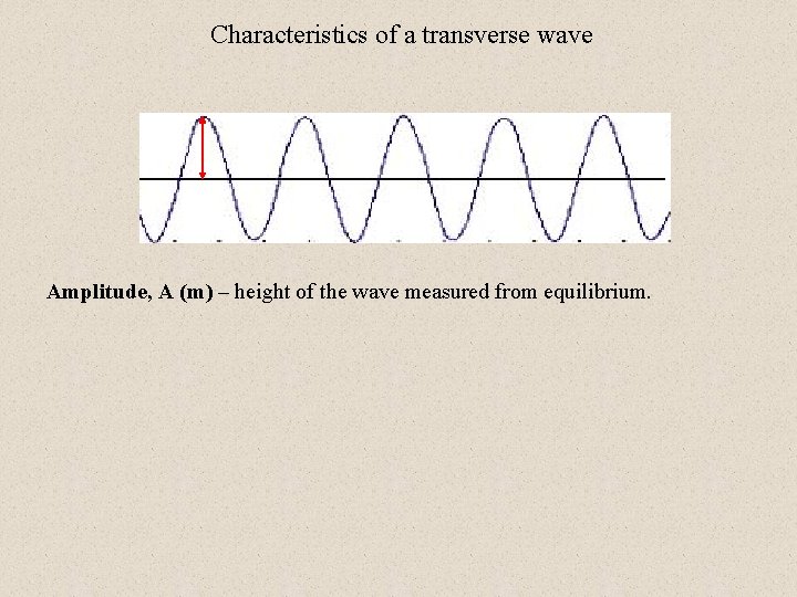 Characteristics of a transverse wave Amplitude, A (m) – height of the wave measured