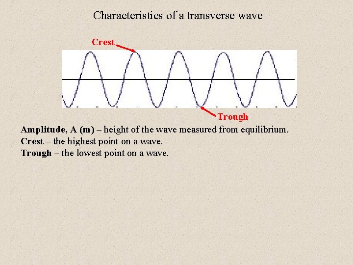 Characteristics of a transverse wave Crest Trough Amplitude, A (m) – height of the