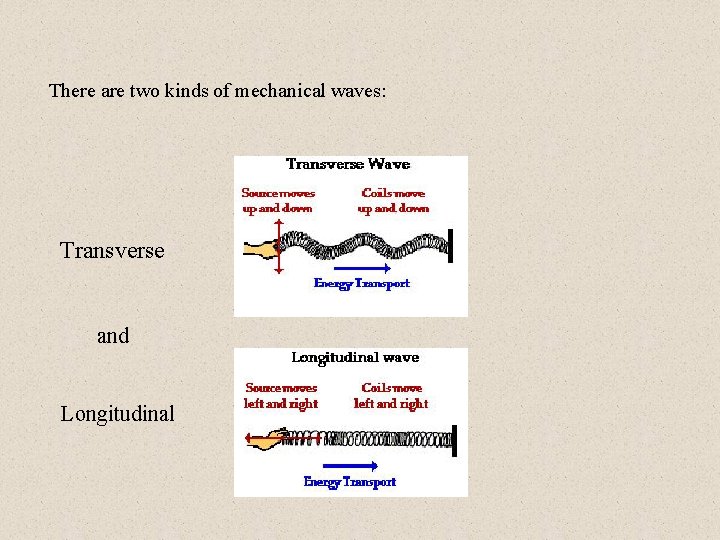 There are two kinds of mechanical waves: Transverse and Longitudinal 