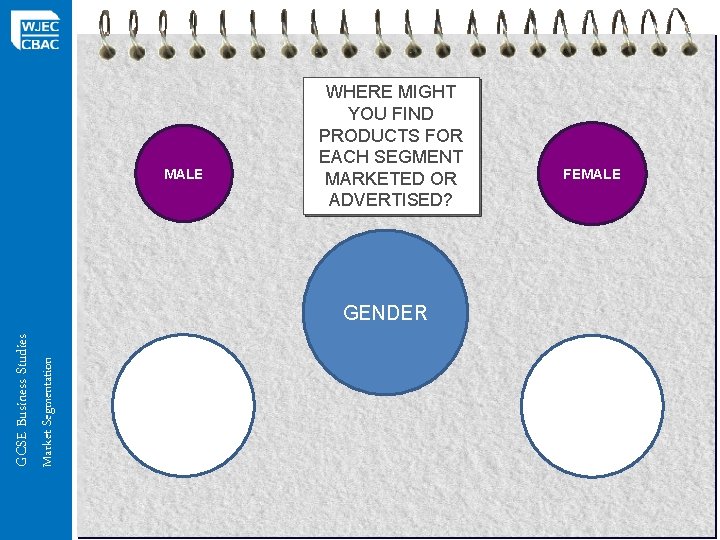 MALE WHERE MIGHT YOU FIND PRODUCTS FOR EACH SEGMENT MARKETED OR ADVERTISED? Market Segmentation MALE WHERE MIGHT YOU FIND PRODUCTS FOR EACH SEGMENT MARKETED OR ADVERTISED? Market Segmentation