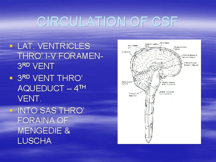 CIRCULATION OF CSF § LAT. VENTRICLES THRO’ I-V FORAMEN 3 RD VENT § 3
