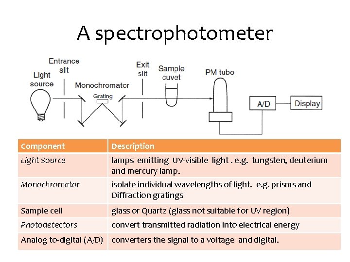 A spectrophotometer Component Description Light Source lamps emitting UV-visible light. e. g. tungsten, deuterium A spectrophotometer Component Description Light Source lamps emitting UV-visible light. e. g. tungsten, deuterium