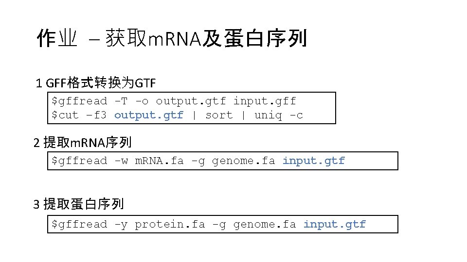 作业 – 获取m. RNA及蛋白序列 1 GFF格式转换为GTF $gffread -T -o output. gtf input. gff $cut