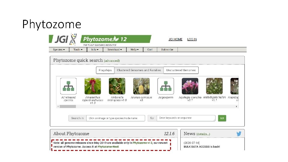 Phytozome 