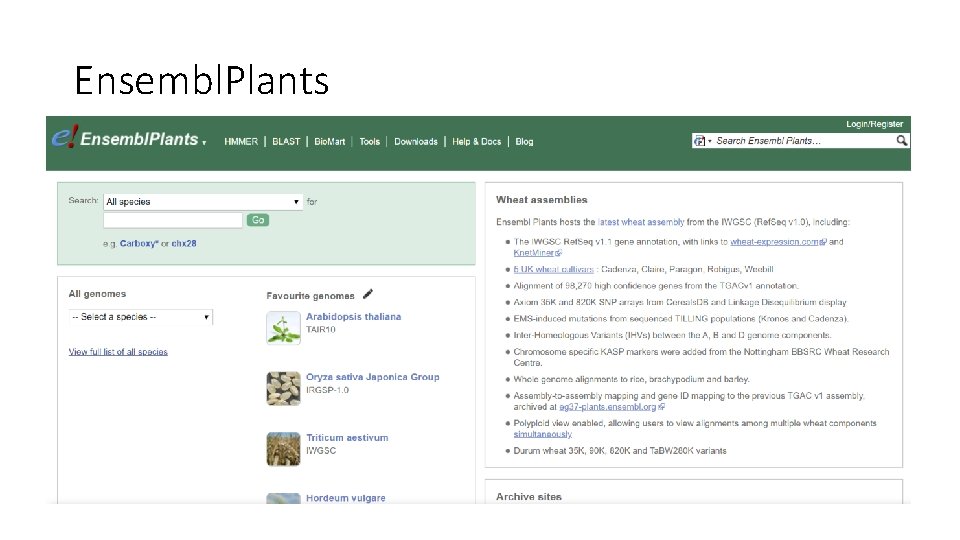 Ensembl. Plants 