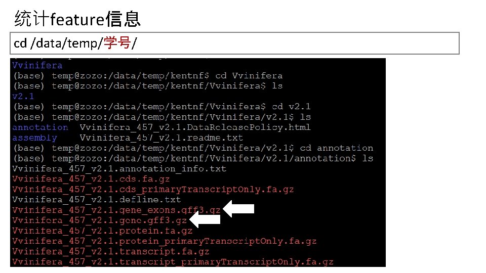 统计feature信息 cd /data/temp/学号/ 