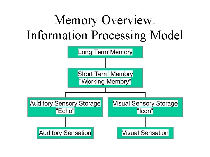Memory Overview: Information Processing Model 