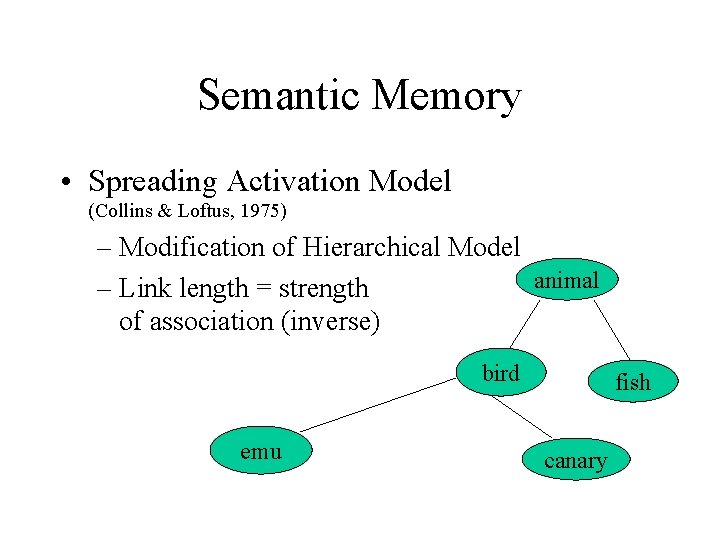 Semantic Memory • Spreading Activation Model (Collins & Loftus, 1975) – Modification of Hierarchical