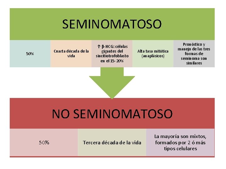 SEMINOMATOSO Cuarta década de la vida 50% ↑ β-HCG: células gigantes del sincitiotrofoblasto en