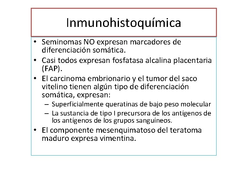 Inmunohistoquímica • Seminomas NO expresan marcadores de diferenciación somática. • Casi todos expresan fosfatasa