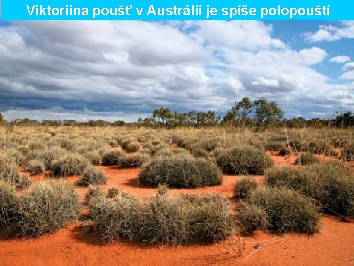 Viktoriina poušť v Austrálii je spíše polopouští 