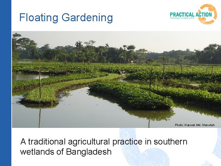 Floating Gardening Photo: Haseeb Md. Irfanullah A traditional agricultural practice in southern wetlands of