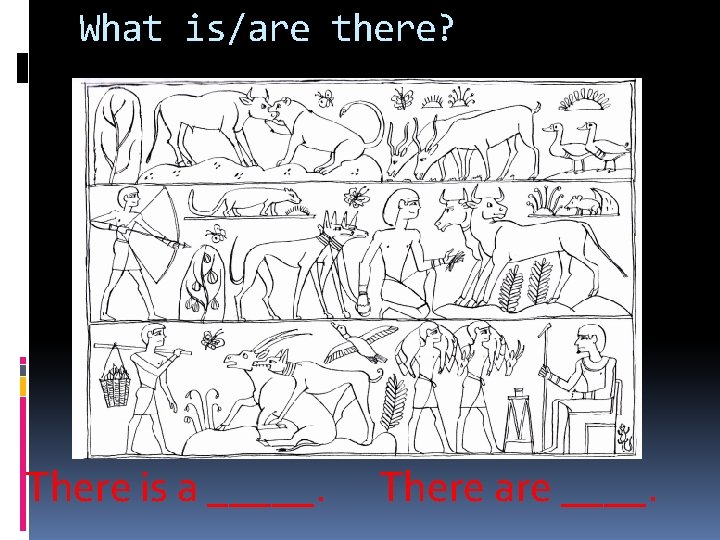 What is/are there? There is a _____. There are ____. 