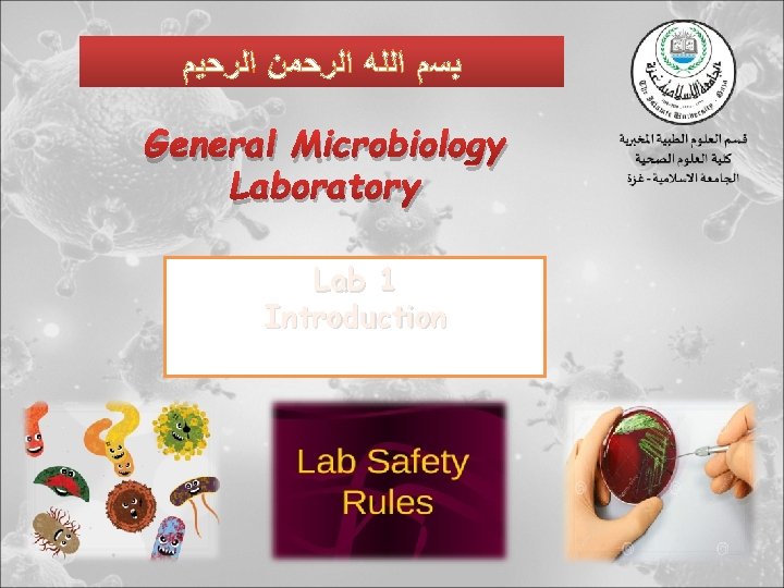  ﺑﺴﻢ ﺍﻟﻠﻪ ﺍﻟﺮﺣﻤﻦ ﺍﻟﺮﺣﻴﻢ General Microbiology Laboratory Lab 1 Introduction 