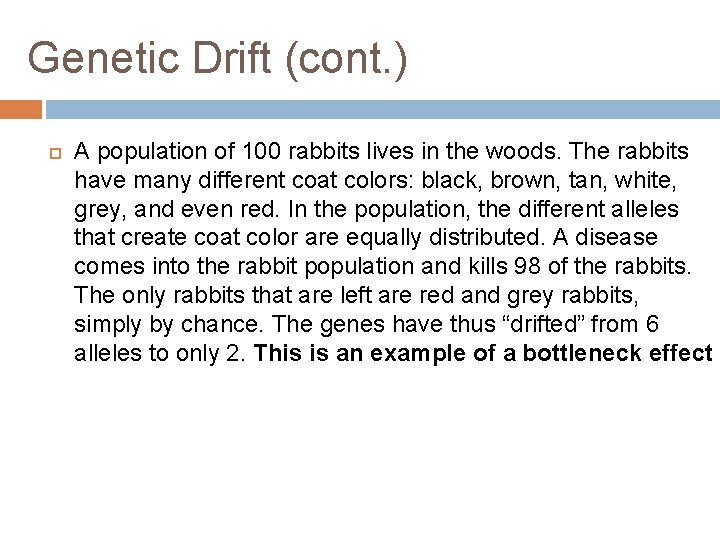 Genetic Drift (cont. ) A population of 100 rabbits lives in the woods. The