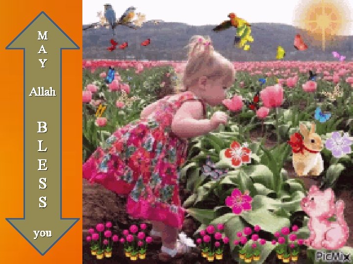 M A Y Allah B L E S S you M A Y Allah B L E S S you