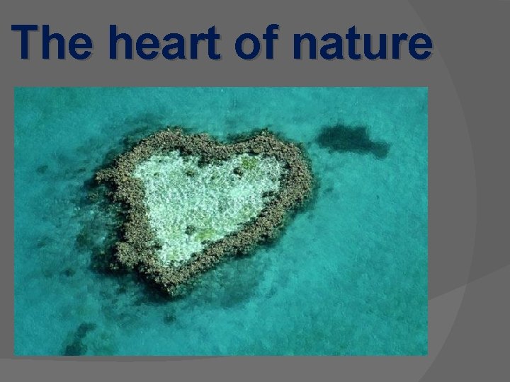 The heart of nature 