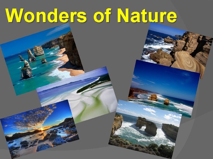 Wonders of Nature 