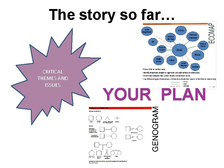 The story so far… CRITICAL THEMES AND ISSUES YOUR PLAN 