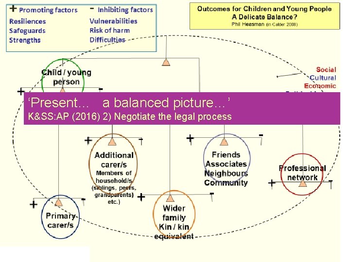 ‘Present… a balanced picture…’ K&SS: AP (2016) 2) Negotiate the legal process 